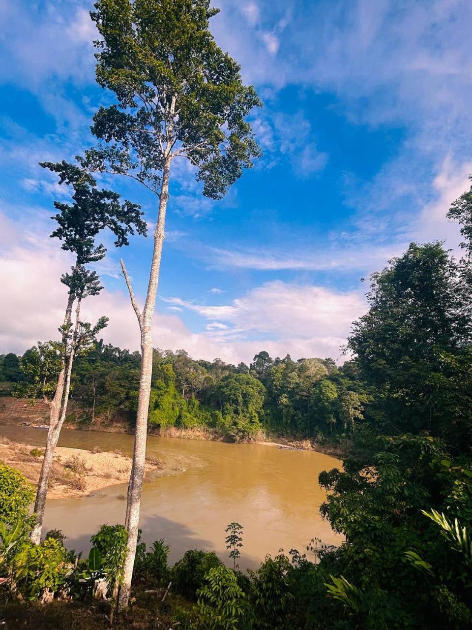 Taman Negara River View Lodge クアラ・ターハン エクステリア 写真